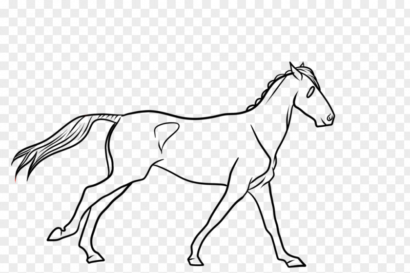 Horse Line Art Mule DeviantArt PNG