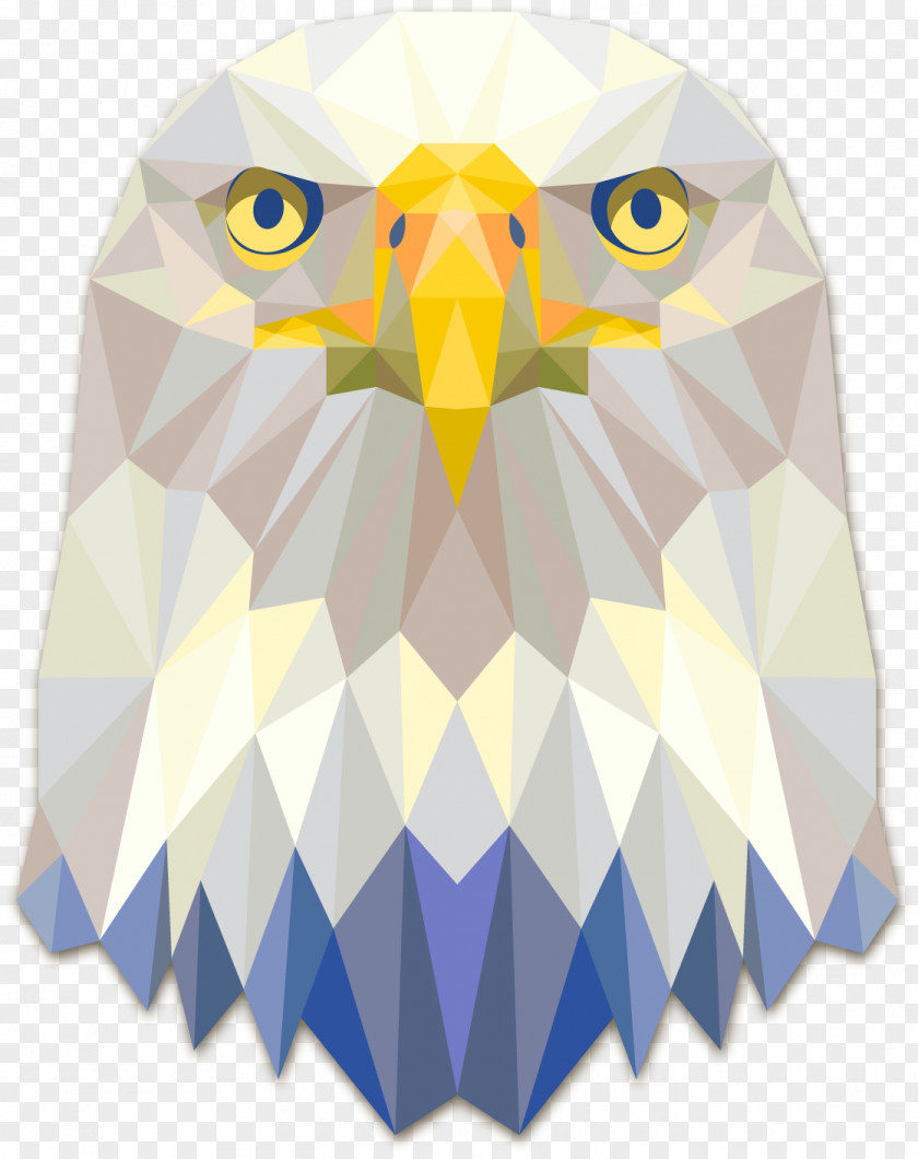 Low Poly Bald Eagle Geometry Triangle PNG
