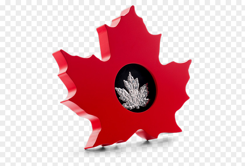 Maple Leaves Beautiful Canadian Gold Leaf Canada Silver Coin Royal Mint PNG