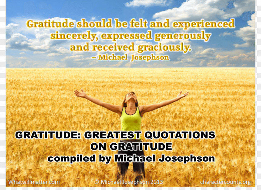 Quotation Gratitude Information Life Happiness PNG