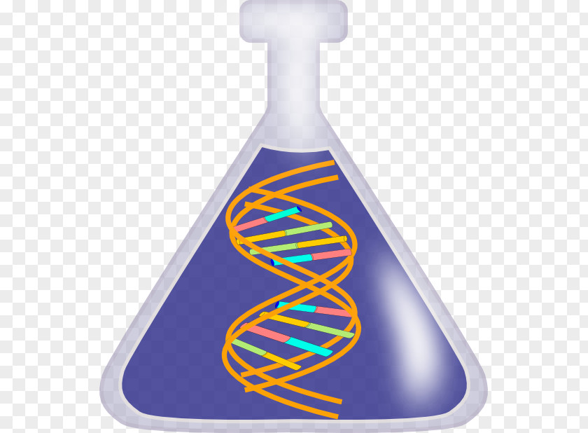 Science Bottle Cliparts DNA Nucleic Acid Double Helix Free Content Vector Clip Art PNG
