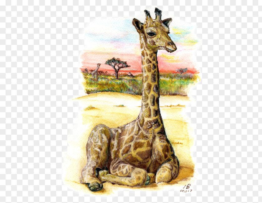 Watercolour Animals Giraffe Terrestrial Animal Wildlife Fauna PNG