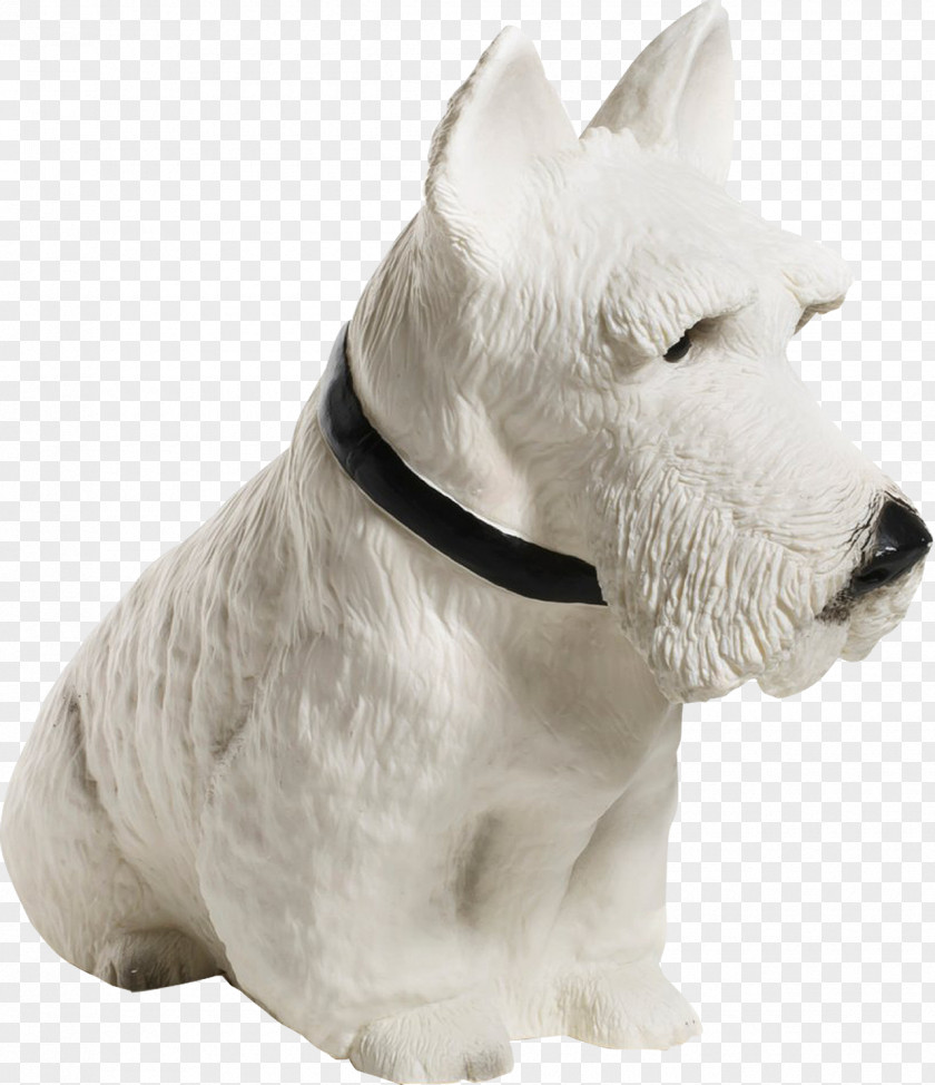 White Dog Scottish Terrier West Highland Miniature Schnauzer Porcelaine Light PNG