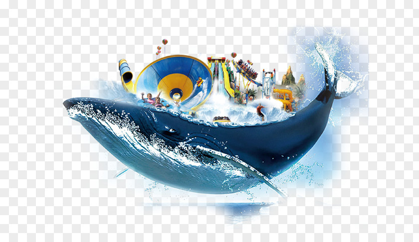 Floating Whale Poster PNG