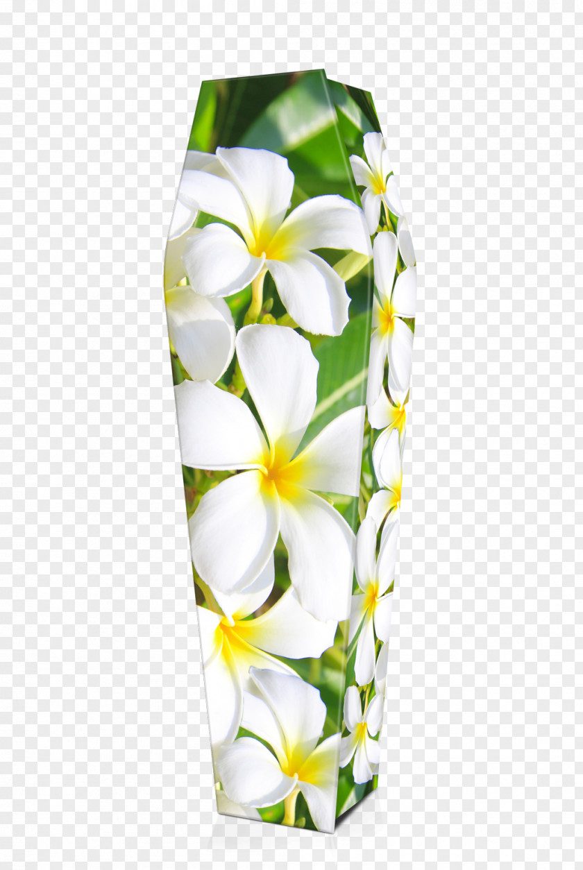 Frangipani Cut Flowers Coffin Floral Design PNG