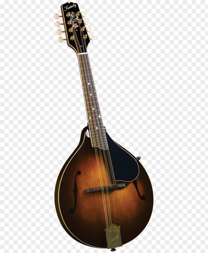 Musical Instruments Mandolin Sunburst Fingerboard Bluegrass PNG