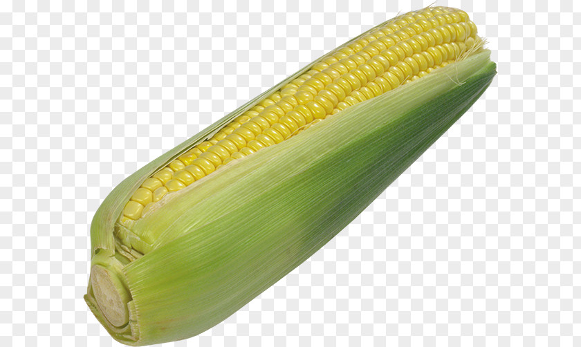 Popcorn Corn On The Cob Maize Kernel PNG