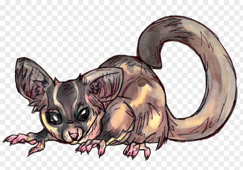 Sugar Glider Rat Dog Canidae Mammal Carnivores PNG
