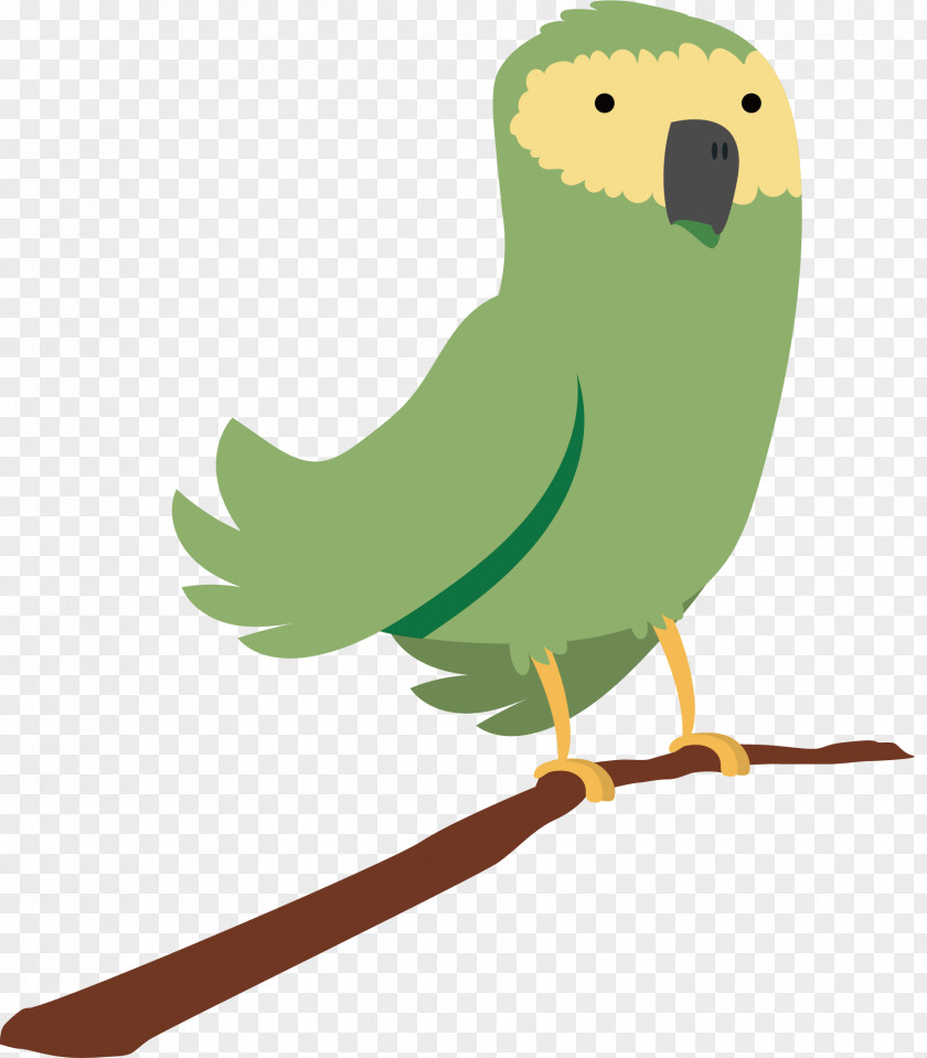Vector Hand Painted Green Parrot Bird Euclidean Parakeet PNG