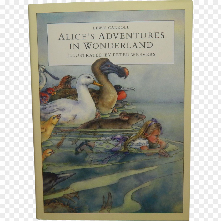 Alice Adventures In Wonderland Alice's Dodo Aliciae Per Speculum Transitus PNG