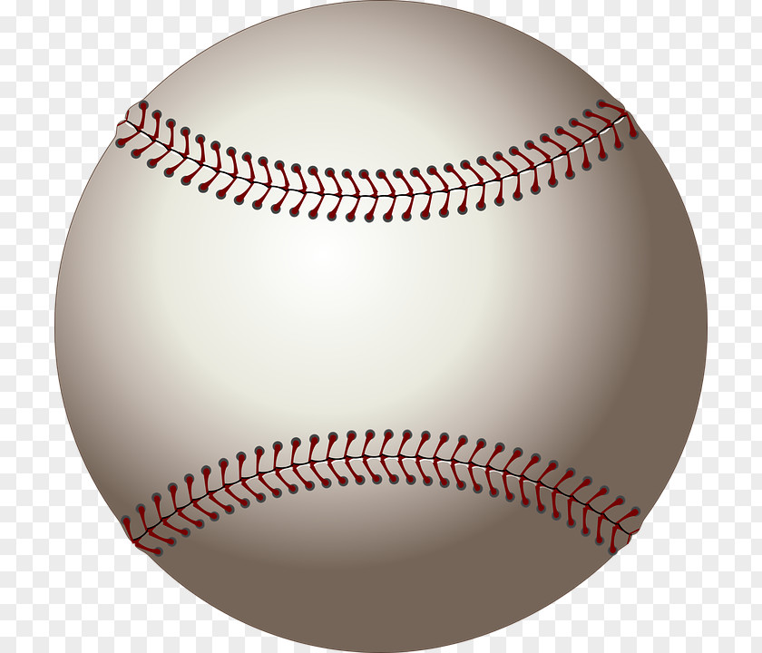 Baseball Ball Sports Health Bat Clip Art PNG