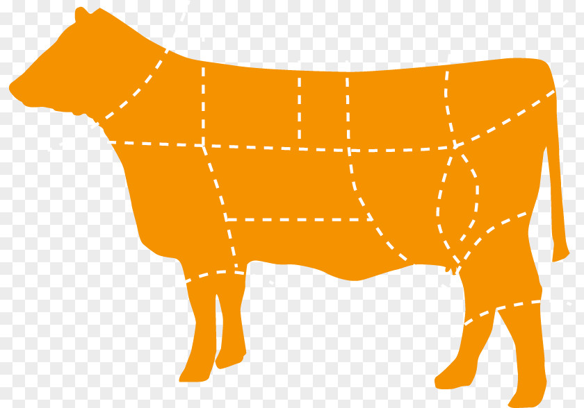 Cowcalf Operation Canidae Cattle Dog Snout Clip Art PNG