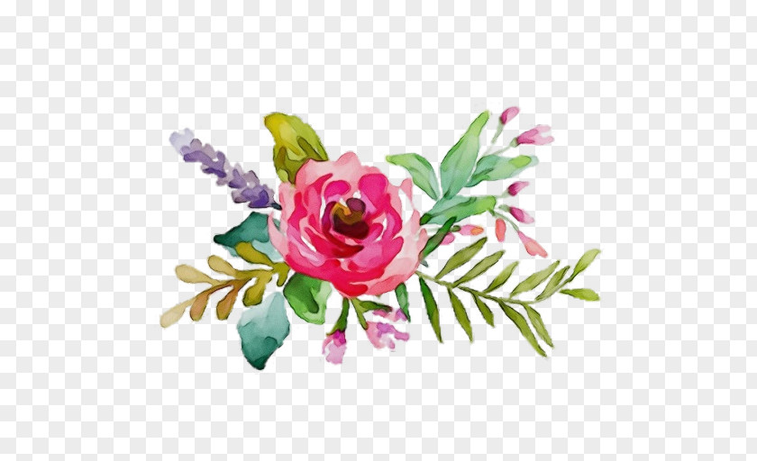 Floristry Chinese Peony Bouquet Of Flowers Drawing PNG