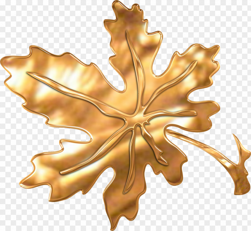 Golden Leaflet Digital Image Clip Art PNG