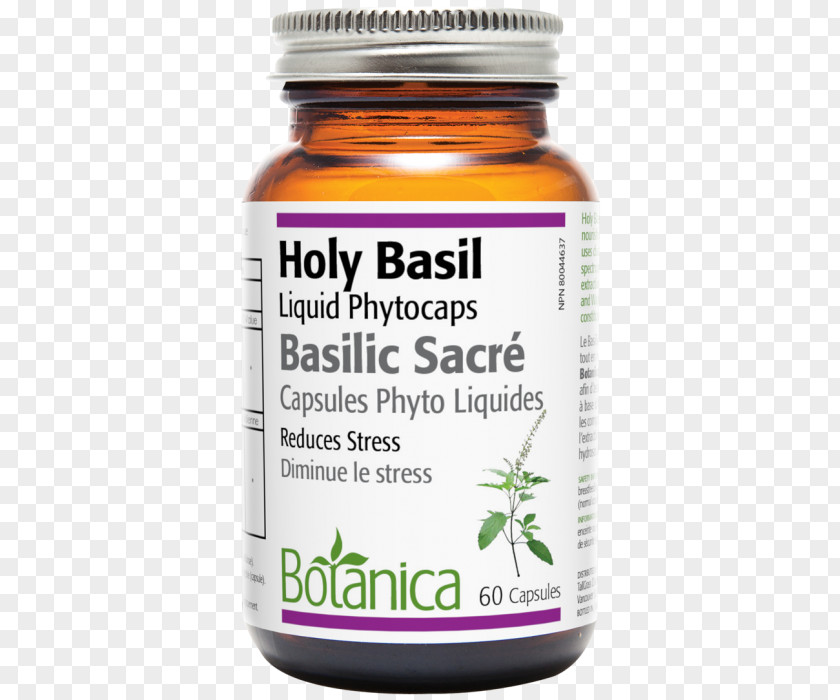 Holy Basil Capsule Health Herb Liquid PNG