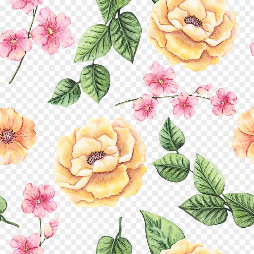 Impatiens Leaf Pink Flower Cartoon PNG