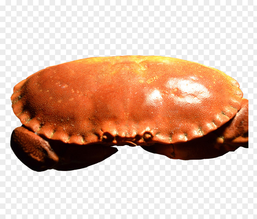 Irish Crab Ecliptic Seafood Ireland Chaceon Fenneri PNG