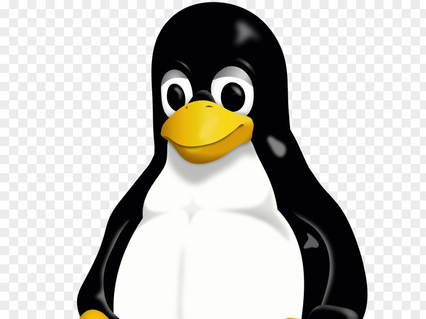 Linux Foundation Tux Ubuntu Operating Systems PNG