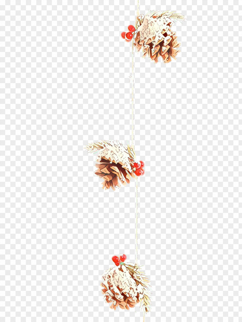Plant Flower Holiday Ornament Interior Design PNG
