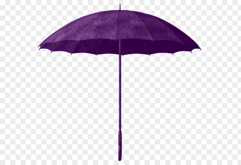 Purple Umbrella In Kind PNG