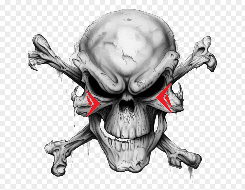 Skull & Bones And Human Symbolism Crossbones PNG