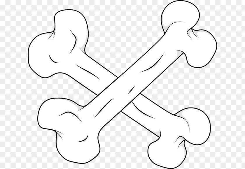 Two Bones Cross Cartoon Euclidean Vector Clip Art PNG