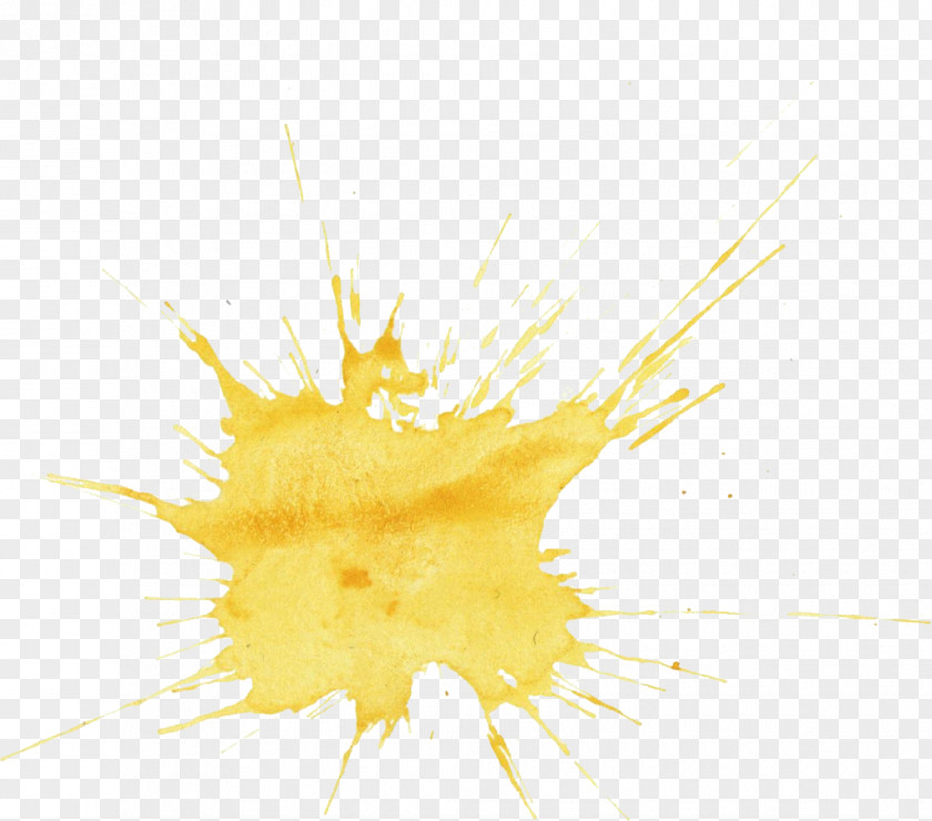 Water Color Watercolor Painting Yellow PNG