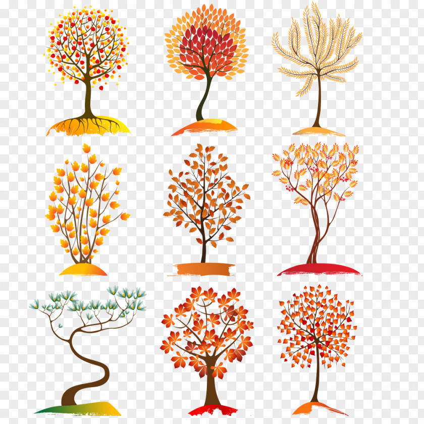 FIG Autumn Tree Collection Leaf Color Icon PNG