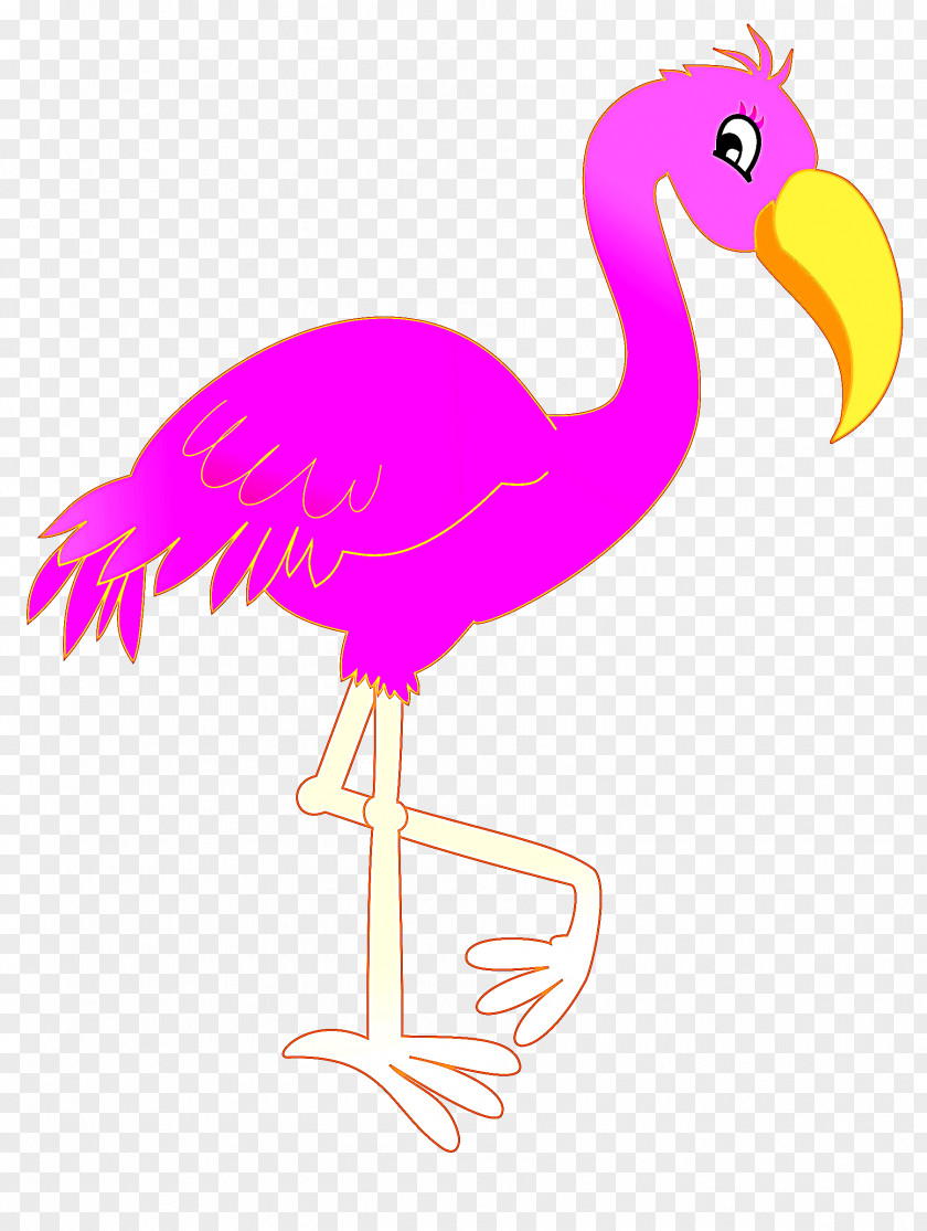 Flightless Bird Water Flamingo PNG