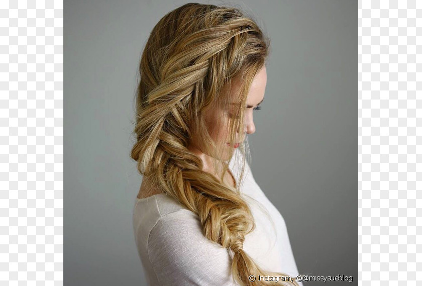 Hair Long French Braid Hairstyle PNG