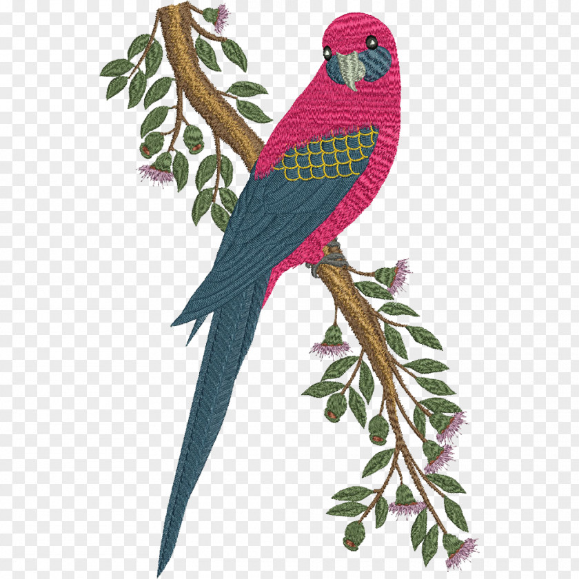 Margarita Parrot Cartoon Machine Embroidery Design Macaw PNG