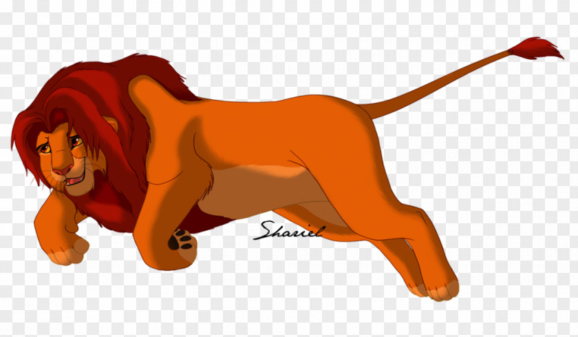 Simba Pumbaa Lion Mufasa Fan Art PNG