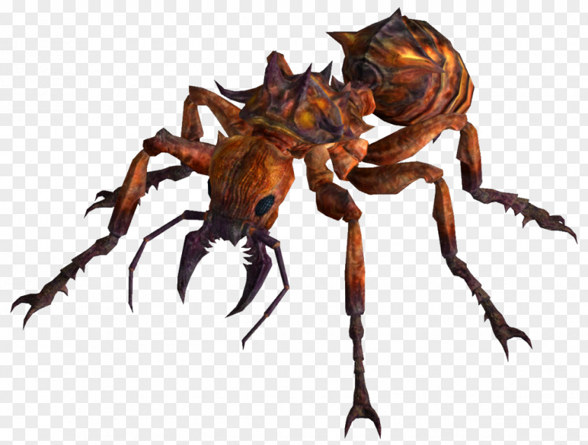 Ants Fallout: New Vegas Fallout 3 4 Wasteland Ant PNG