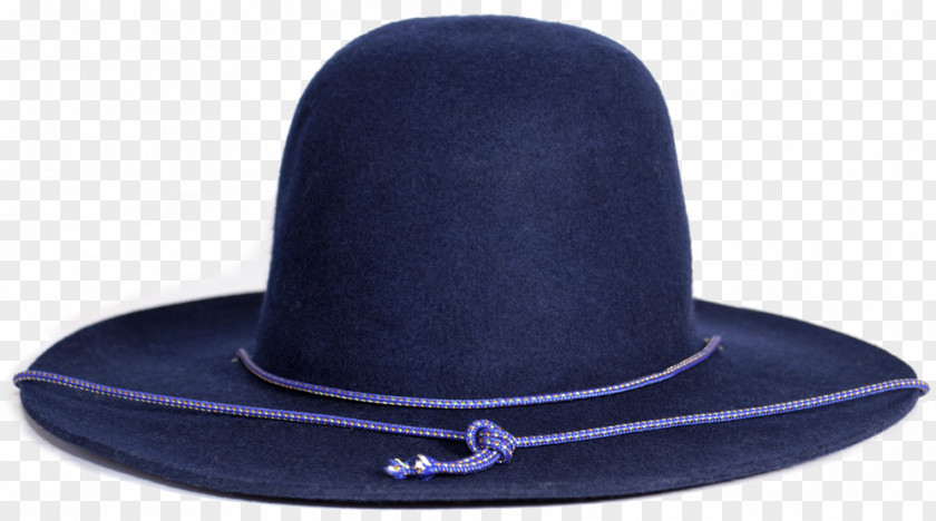 GENTLEMAN HAT Fedora Cobalt Blue PNG