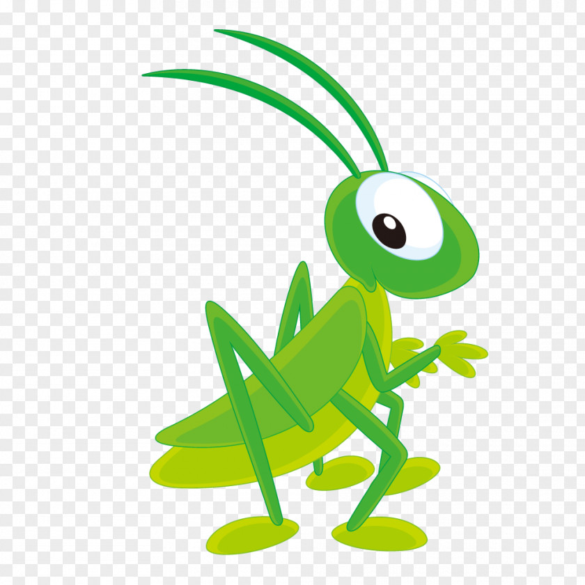 Insect Clip Art PNG