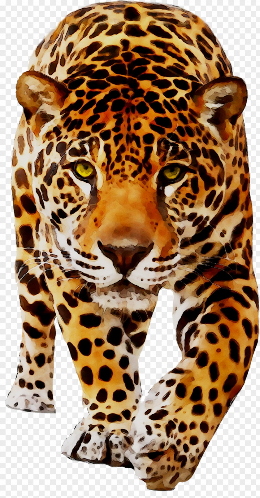 Jaguar Leopard Cat Tiger Animal PNG