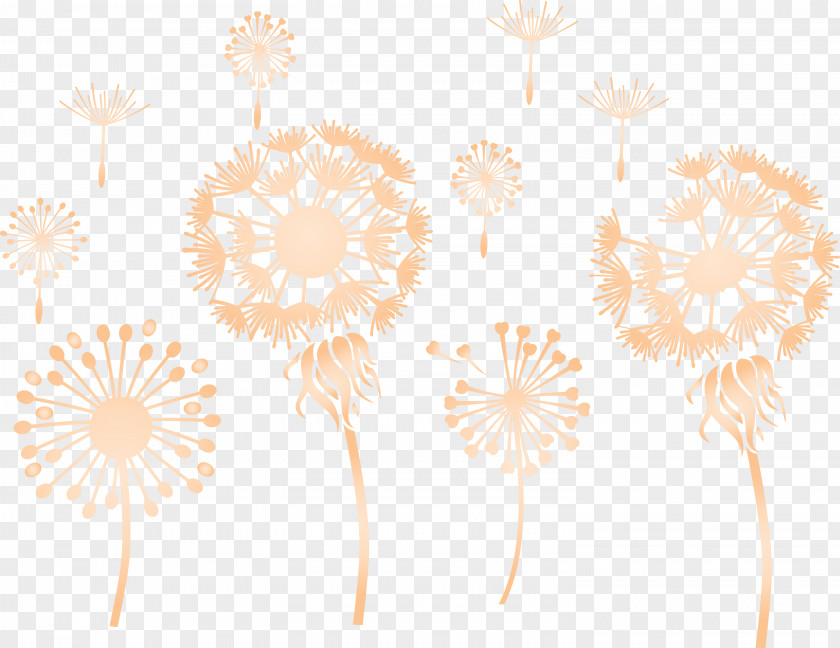 Dandelion PNG