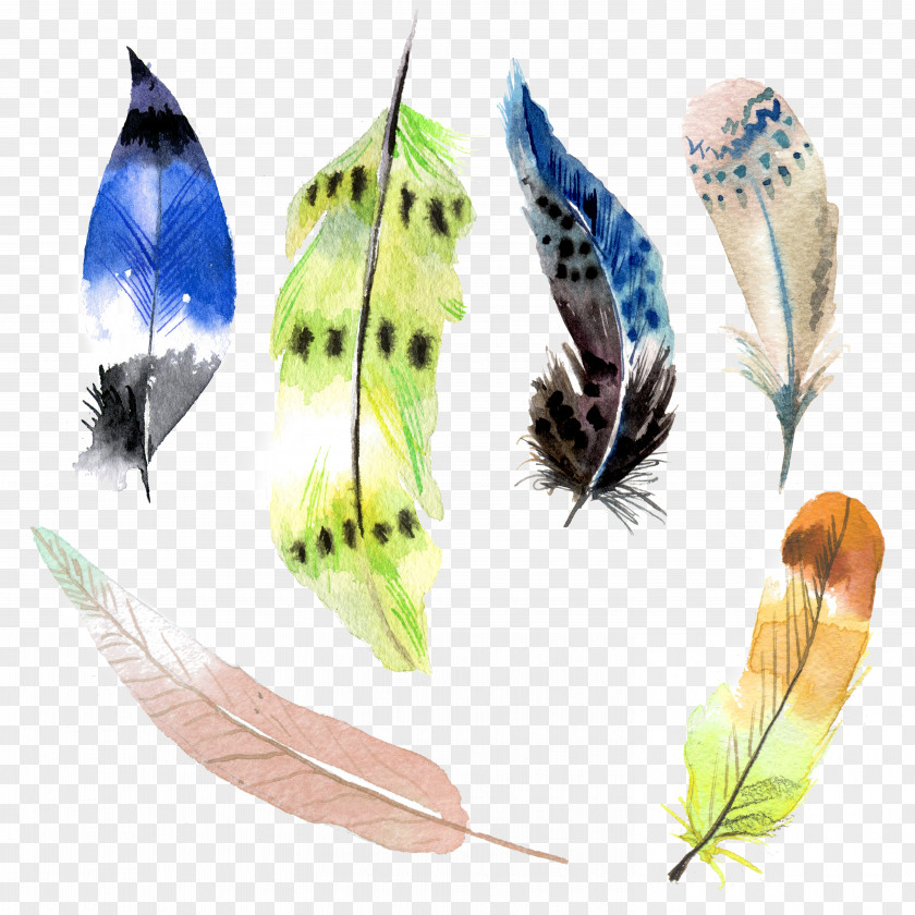 Feather Watercolor: Flowers Watercolor Painting PNG