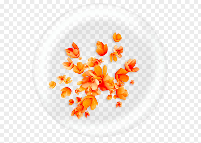 Floral Background Icon PNG