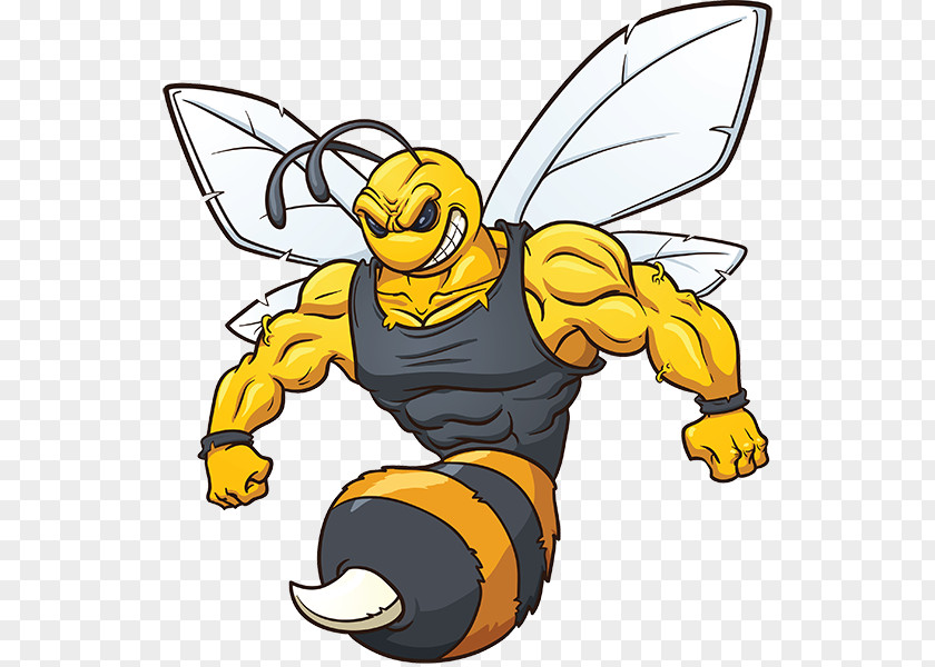Hornet Mascot Bee Vector Graphics Clip Art Wasp PNG