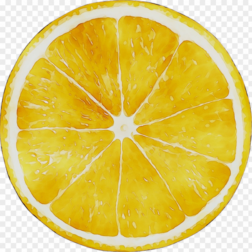 Lemon Yellow Citric Acid Citrus PNG