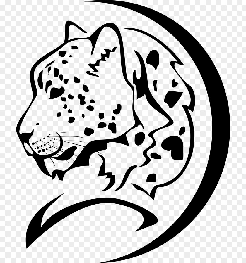 Leopard Cheetah Lion Felidae Tiger PNG