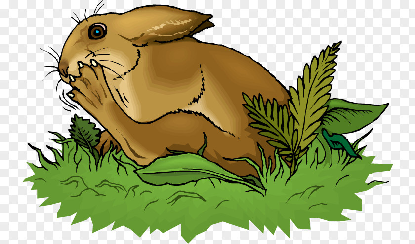 Rabbit Domestic European Hare Clip Art PNG