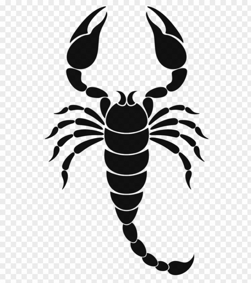 Scorpions Scorpion Zodiac Astrological Sign Symbol PNG