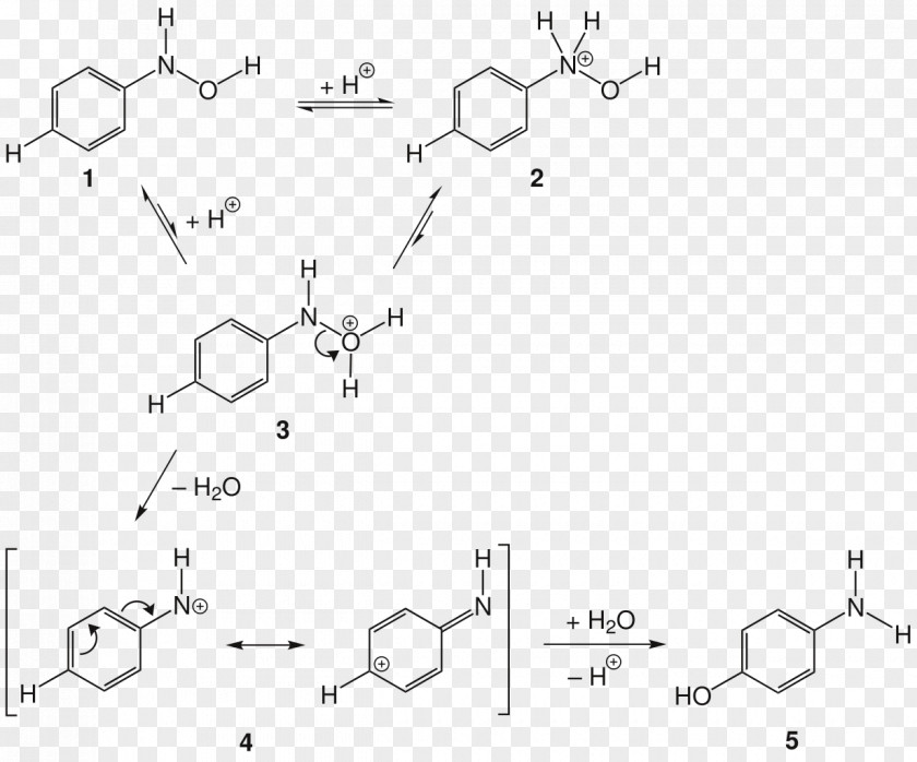 Aminophenol Bamberger Rearrangement Phenylhydroxylamine Protonation Chemical Reaction PNG