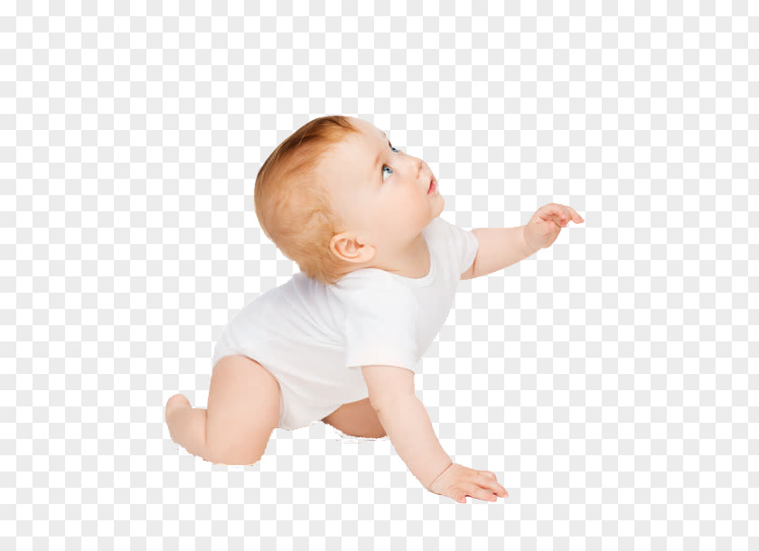 Cute Baby Infant Child Crawling PNG