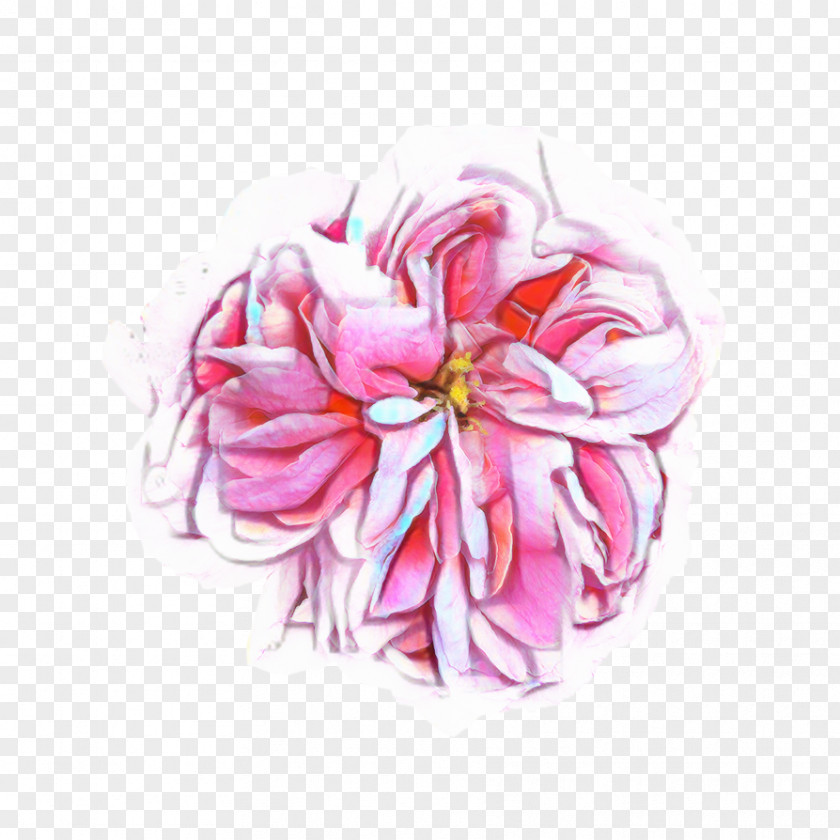 Plant Pink Flower Cartoon PNG