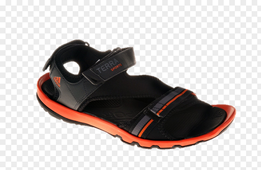 Sandal Shoe Cross-training PNG