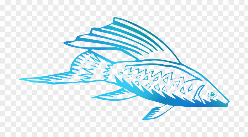 Clip Art Fin Marine Biology Fish PNG
