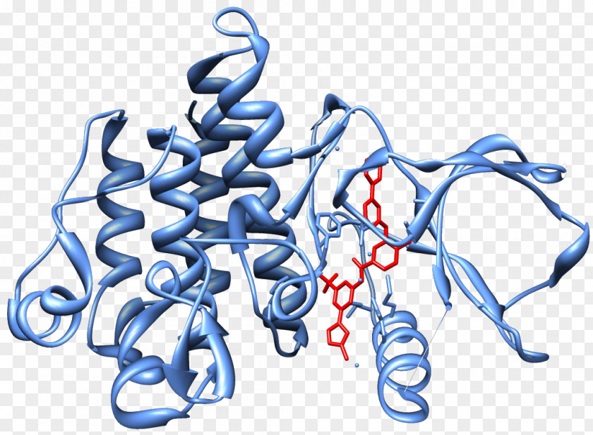 Dasatinib Bcr-Abl Tyrosine-kinase Inhibitor Philadelphia Chromosome Nilotinib PNG